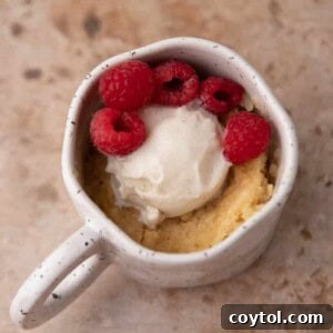 Golden Oreo Gooey Mug Cake in Minutes 9 Molten 3 ingredient golden oreo mug cake