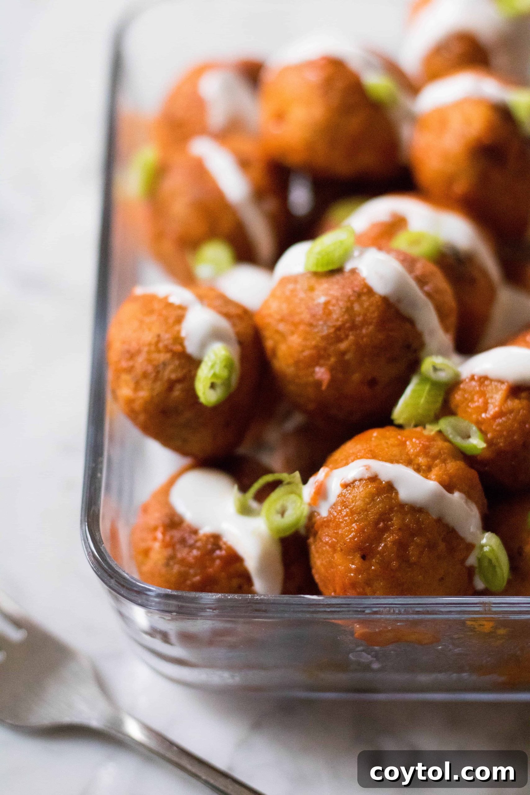 Guilt-Free Baked Buffalo Chicken Meatballs 10 img 733 9 scaled