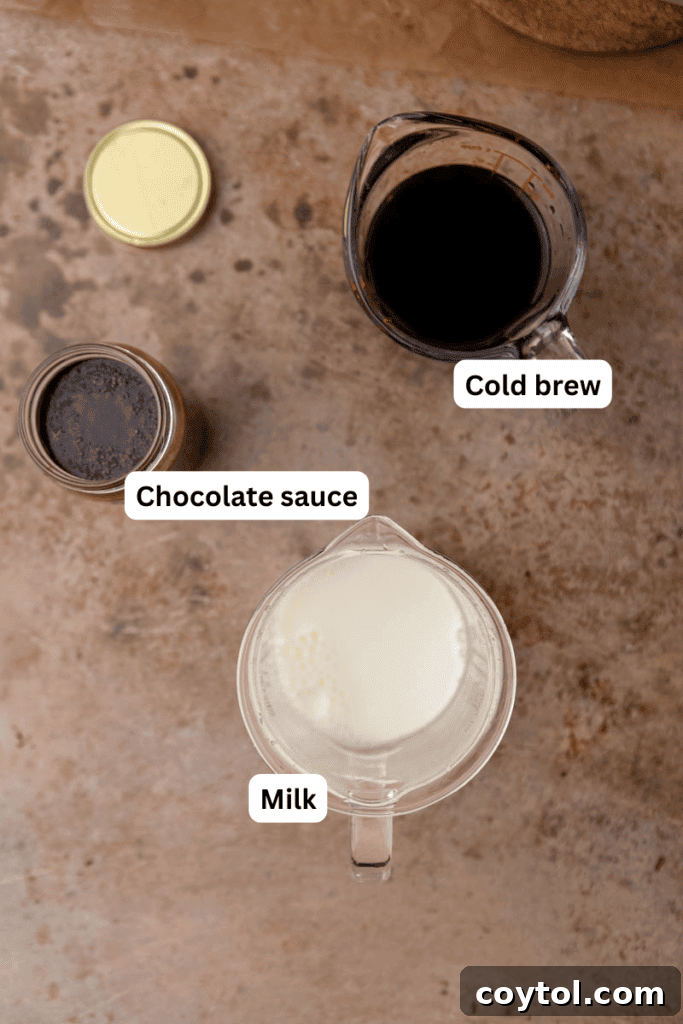 Ingredients for mocha cold brew coffee laid out on a kitchen counter