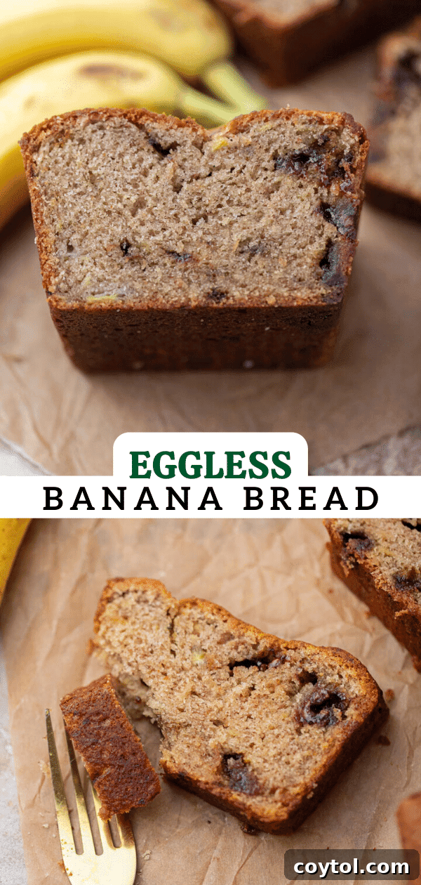 A final tantalizing image of eggless banana bread, inviting readers to try the recipe.