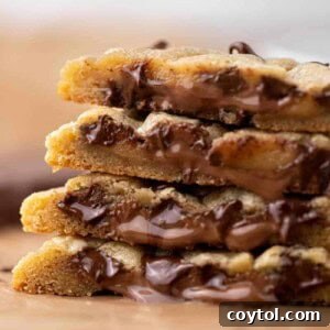 Chocolate stuffed chocolate chip cookies