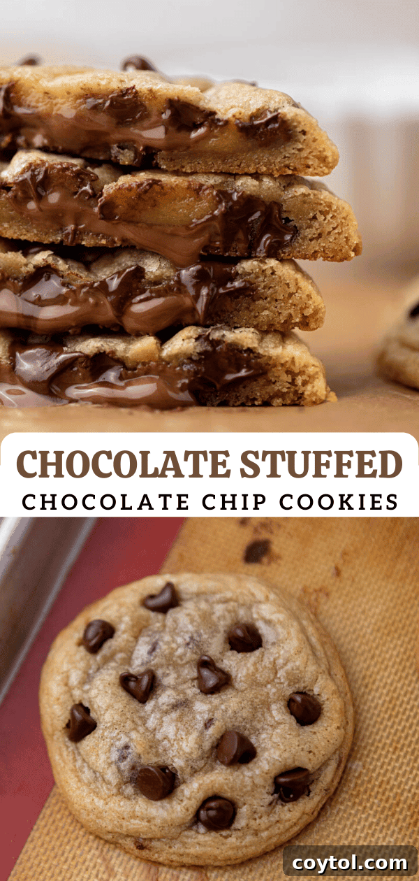Pinterest collage photo of chocolate chip cookie recipes