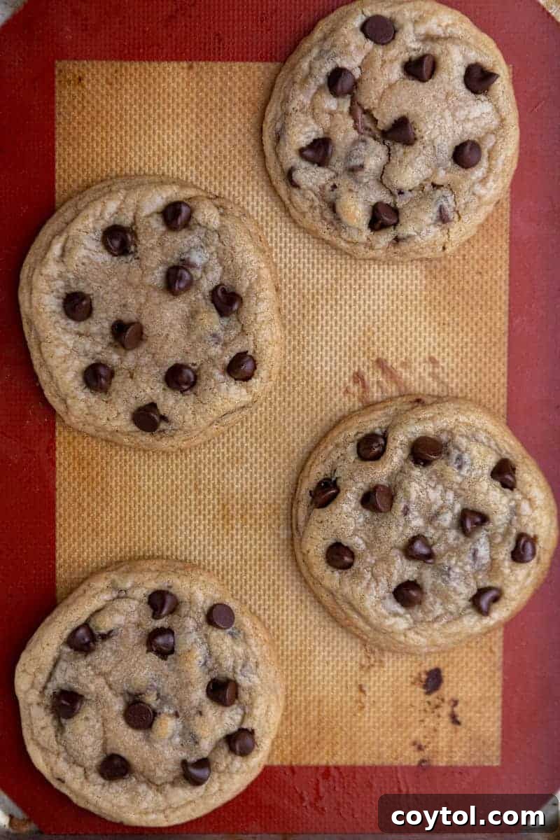Chocolate chip cookies on baking sheet before cooling
