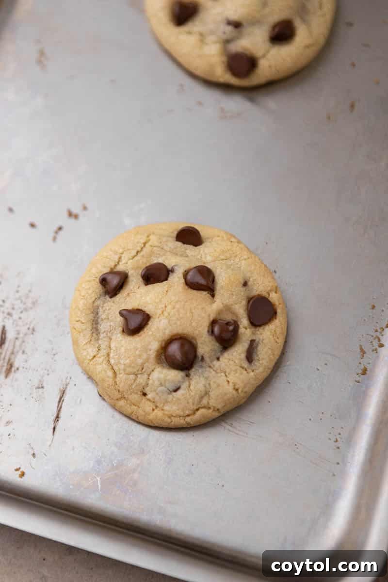 Simple Reese's Peanut Butter Explosion Chocolate Chip Cookies 10 Freshly baked Reese's stuffed chocolate chip cookies cooling on a baking sheet.