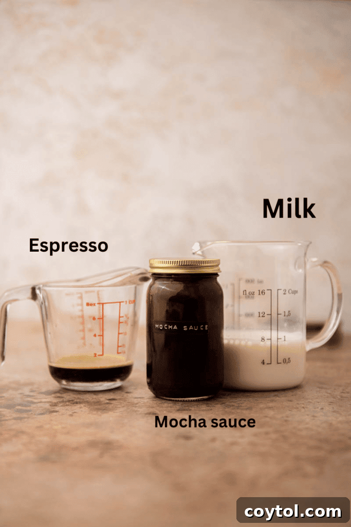 Essential ingredients for an iced mocha latte laid out neatly on a kitchen counter, featuring a bag of coffee beans, a bottle of chocolate syrup, and a carton of milk, emphasizing the simplicity of the recipe.