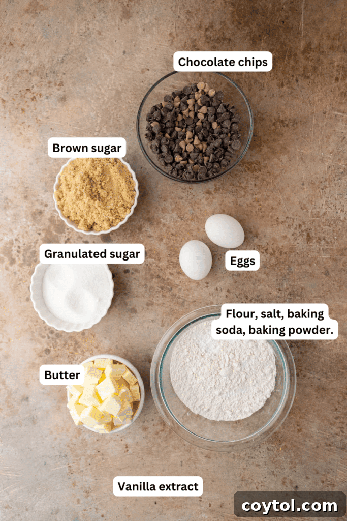 Ingredients on the counter