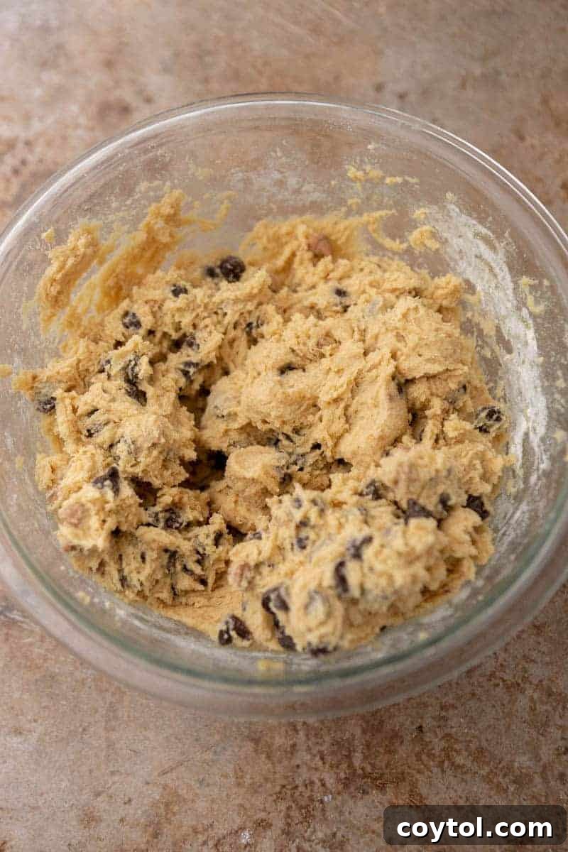 Chocolate cookie dough in a bowl