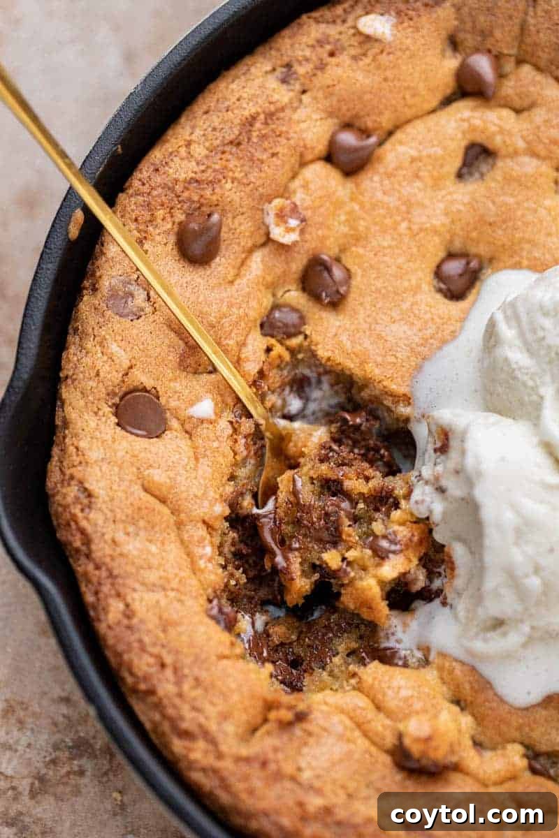 Chocolate chip skillet cookie recipe