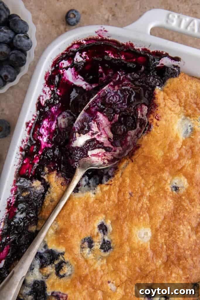 Indulge in Homemade Blueberry Cobbler Perfection 2 Close up of a bubbling blueberry cobbler casserole fresh out of the oven, highlighting its golden-brown topping and juicy fruit filling.