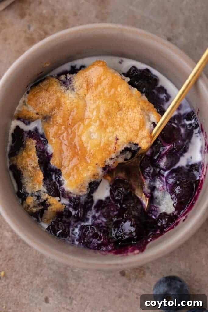 Indulge in Homemade Blueberry Cobbler Perfection 11 An overhead shot of a golden-brown blueberry cobbler in a serving bowl, highlighting the bubbly fruit underneath.