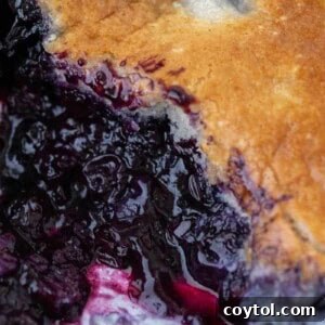 Indulge in Homemade Blueberry Cobbler Perfection 12 Blueberry cobbler recipe, showcasing a delicious warm dessert with a golden topping.