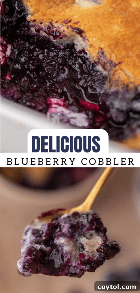 Indulge in Homemade Blueberry Cobbler Perfection 15 Pinterest collage featuring various images of blueberry cobbler, designed for easy sharing and saving.