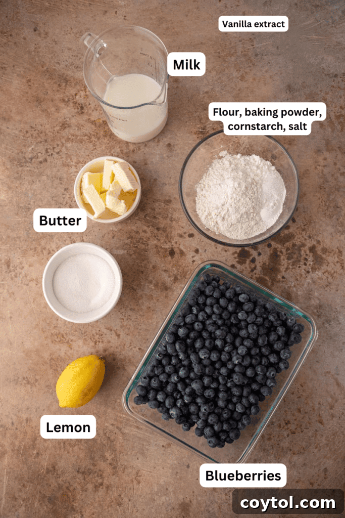 Indulge in Homemade Blueberry Cobbler Perfection 3 Various baking ingredients including fresh blueberries, flour, sugar, butter, and lemon on a kitchen counter, ready for cobbler preparation.