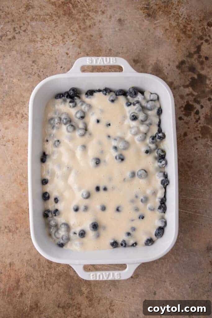 Indulge in Homemade Blueberry Cobbler Perfection 7 Unbaked blueberry cobbler in a baking pan, with batter drizzled over the fruit.