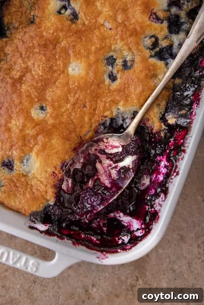 Indulge in Homemade Blueberry Cobbler Perfection 9 Close-up of the crust and juicy blueberry filling of a baked cobbler, ready to be served.