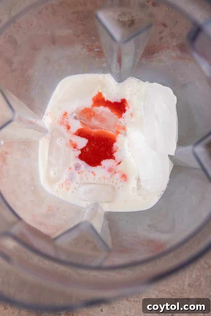 Ingredients in a blender