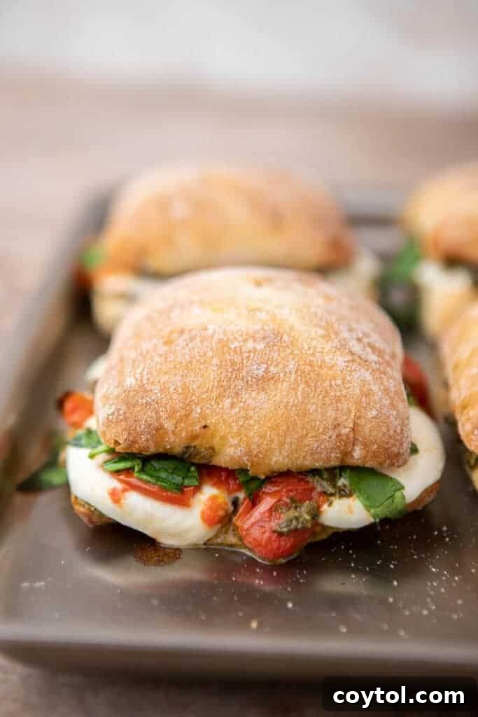 Starbucks-Inspired Roasted Tomato Mozzarella Panini 13 Close up of Starbucks mozzarella panini