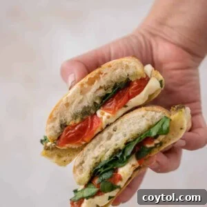 Starbucks-Inspired Roasted Tomato Mozzarella Panini 14 Hand holding sandwich cut in half