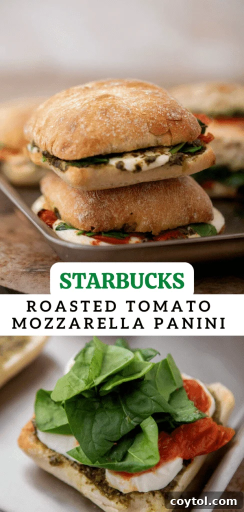 Starbucks-Inspired Roasted Tomato Mozzarella Panini 15 Starbucks roasted tomato mozzarella panini