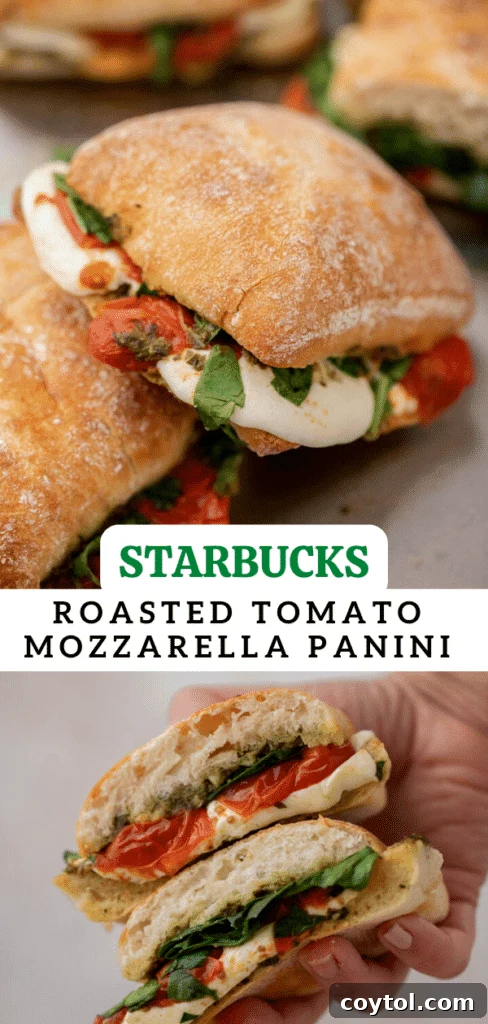 Starbucks-Inspired Roasted Tomato Mozzarella Panini 16 Starbucks roasted tomato mozzarella panini