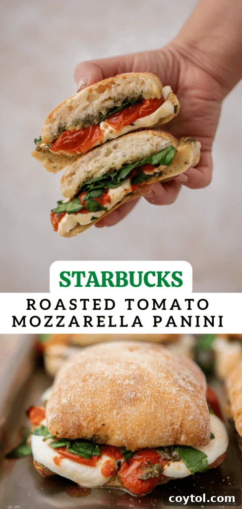 Starbucks-Inspired Roasted Tomato Mozzarella Panini 17 Starbucks roasted tomato mozzarella panini