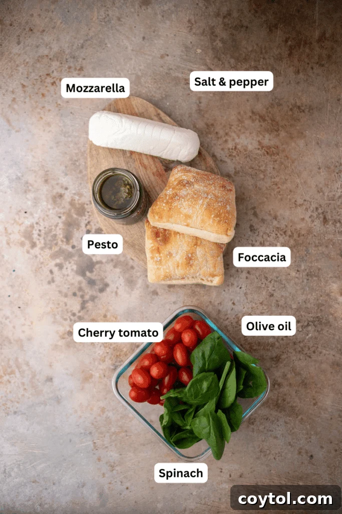 Starbucks-Inspired Roasted Tomato Mozzarella Panini 3 Ingredients on the counter for homemade panini
