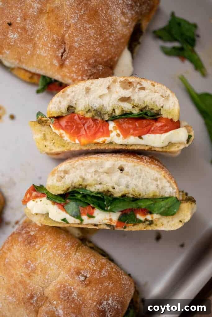 Starbucks-Inspired Roasted Tomato Mozzarella Panini 4 Overhead shot of Starbucks roasted tomato mozzarella panini sandwich
