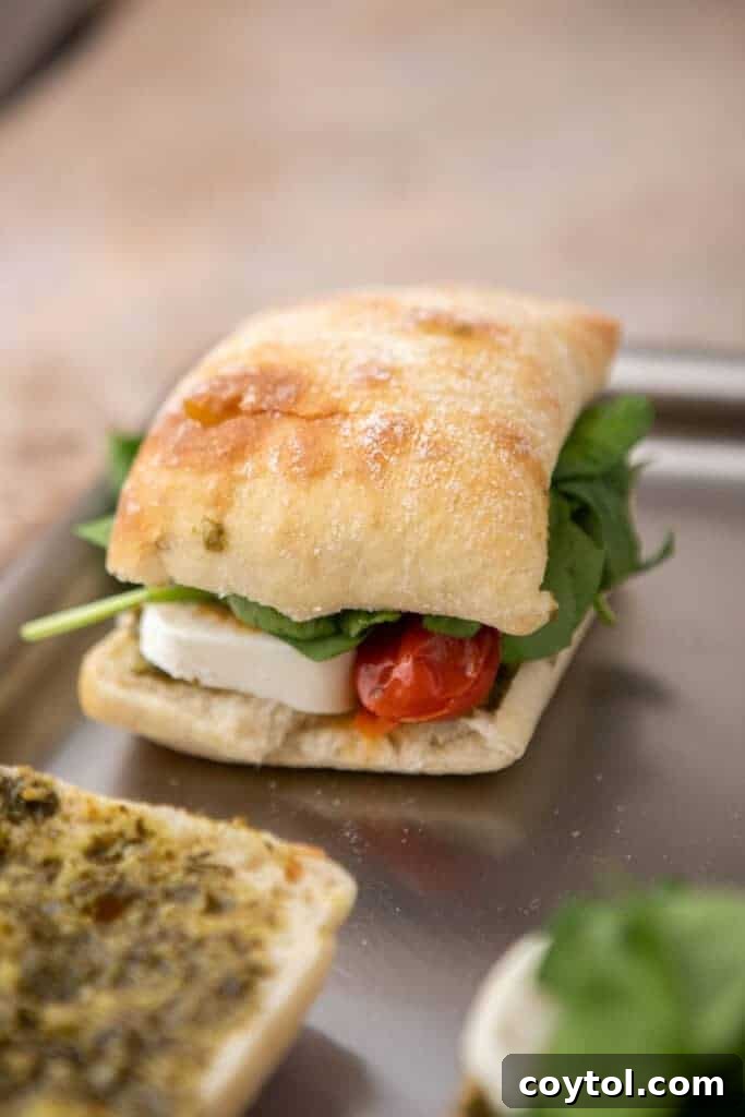 Starbucks-Inspired Roasted Tomato Mozzarella Panini 10 Starbucks roasted tomato mozzarella panini ready to eat