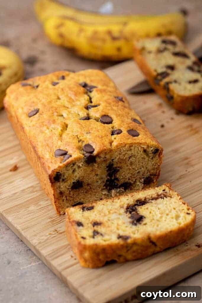 A whole cake mix banana bread loaf with chocolate chips, showcasing its golden crust and moist texture.