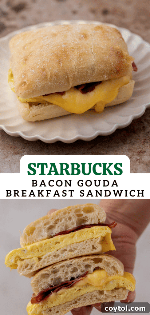 Starbucks bacon gouda sandwich 