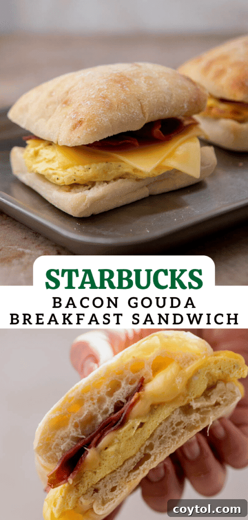 Starbucks bacon gouda sandwich 