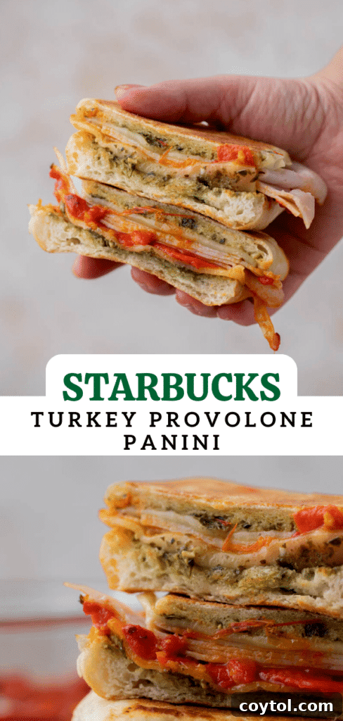 The Ultimate Starbucks Turkey Pesto Panini Guide 9 starbucks turkey provolone pesto panini