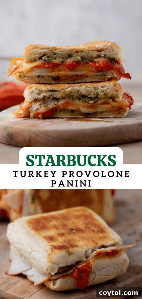 The Ultimate Starbucks Turkey Pesto Panini Guide 10 starbucks turkey provolone pesto panini
