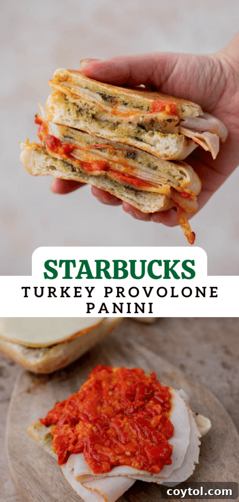 The Ultimate Starbucks Turkey Pesto Panini Guide 8 starbucks turkey provolone pesto panini