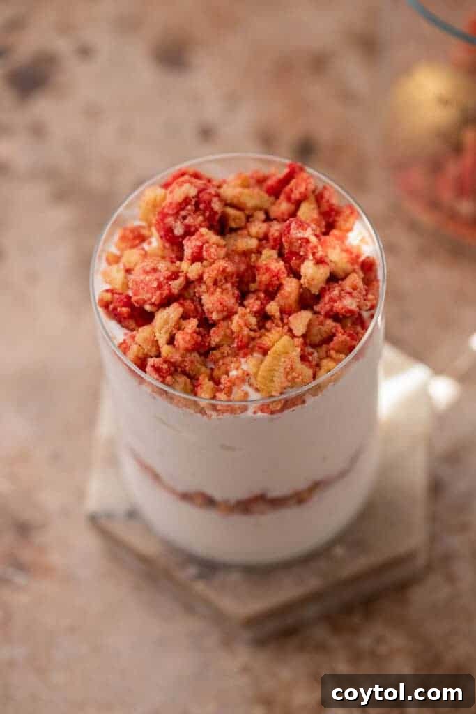 Easy Homemade Strawberry Shortcake McFlurry 11 Overhead shot of Homemade Strawberry Shortcake McFlurry