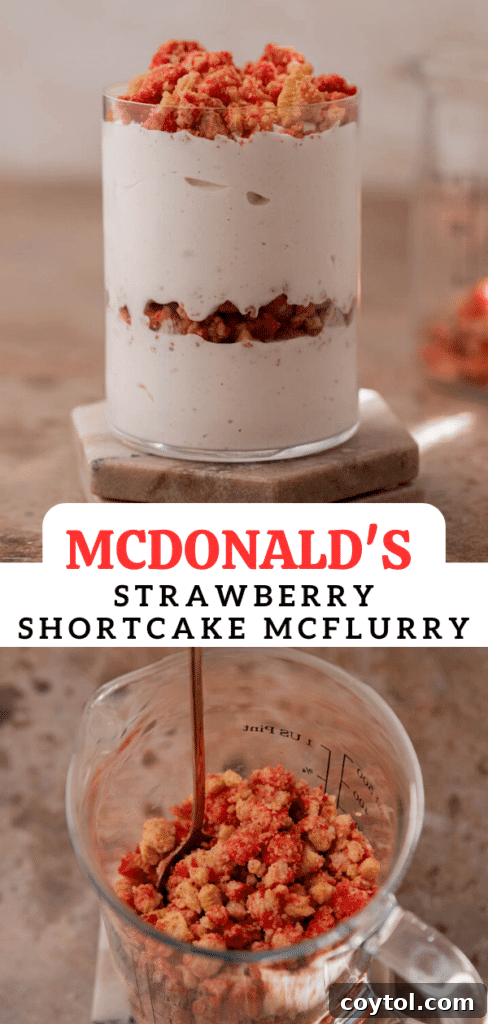Easy Homemade Strawberry Shortcake McFlurry 15 McDonald's Strawberry Shortcake McFlurry