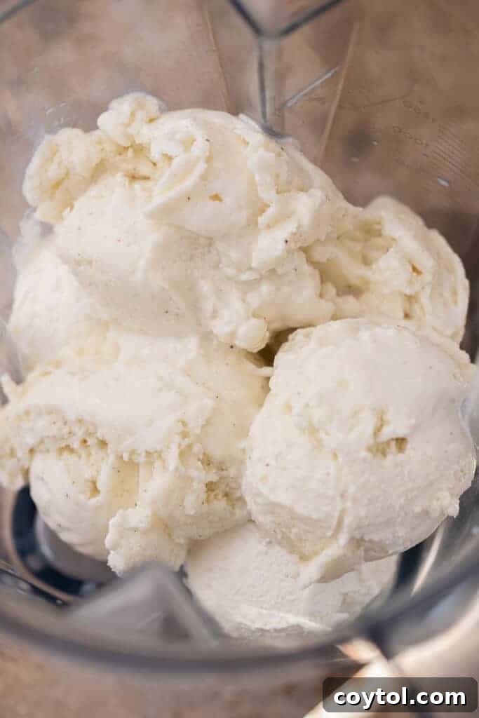 Easy Homemade Strawberry Shortcake McFlurry 8 Ice cream in a blender