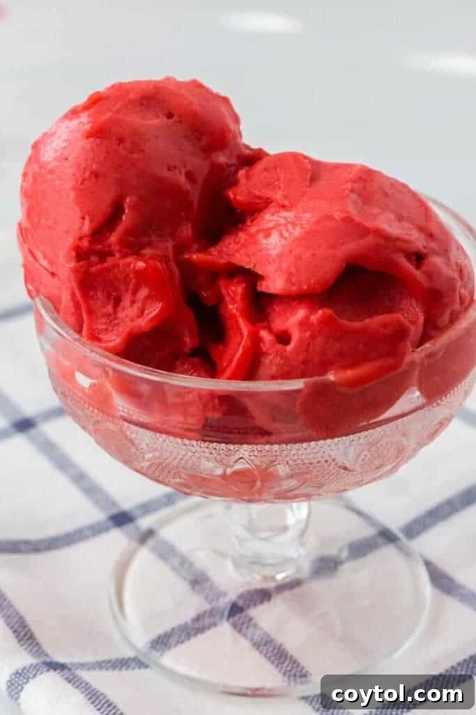 A close-up of vibrant strawberry sorbet made in the Ninja Creami, perfect for a refreshing treat.