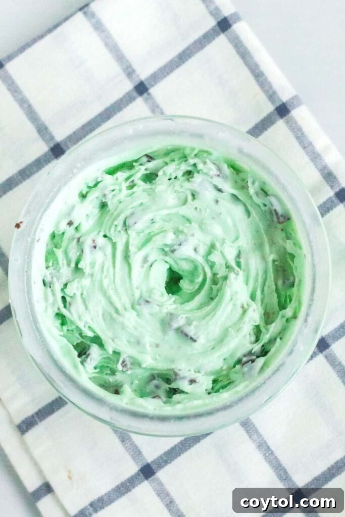 A refreshing scoop of chocolate mint Ninja Creami ice cream, combining rich chocolate with a cool mint flavor.