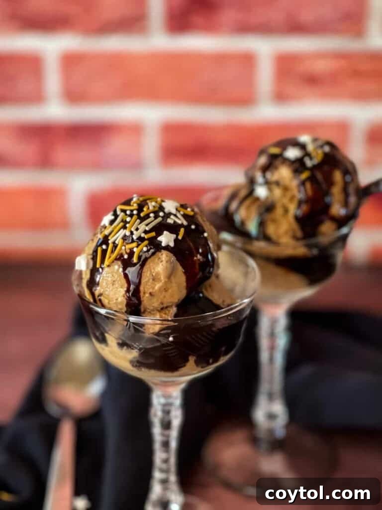 An artfully presented bowl of Ninja Creami dessert, garnished with fresh fruit and a drizzle, showcasing its versatility beyond just scoops.