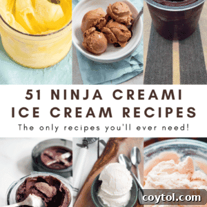 A vibrant image showcasing various Ninja Creami ice cream creations, symbolizing a collection of delicious recipes.