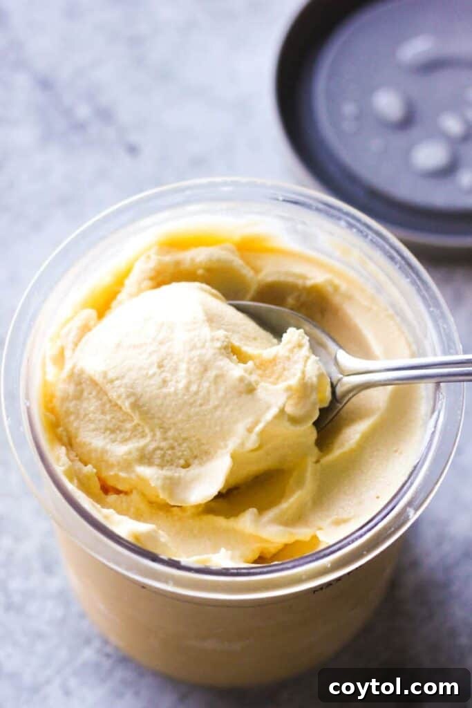 A delicious homemade Ninja Creami banana ice cream, garnished with fresh fruit, inviting users to try this simple recipe.