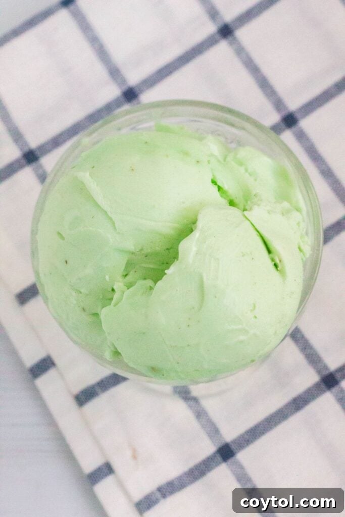 Vibrant pistachio Ninja Creami ice cream in a pint, ready to be served, highlighting its rich color and creamy texture.