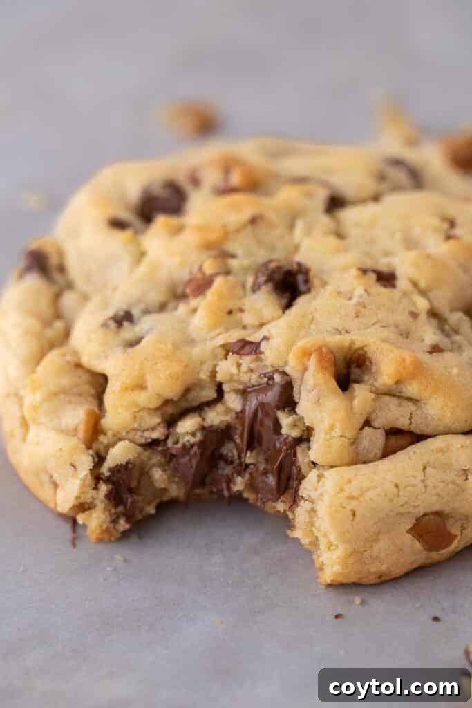 Close up of a Levain chocolate chip walnut cookie with a bite taken out of it