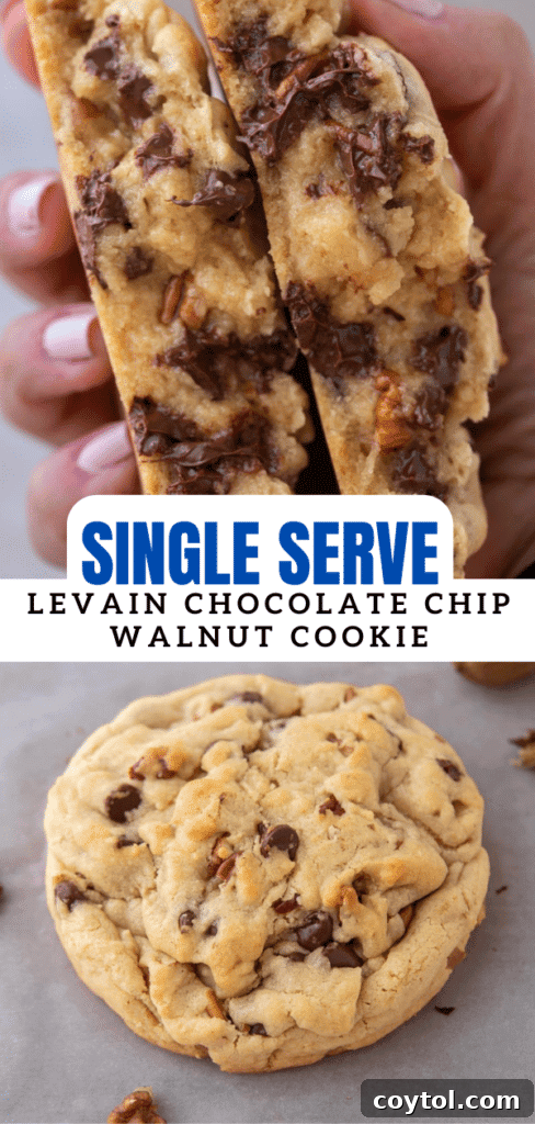 Single serve Levain chocolate chip walnut cookie on a rustic wooden surface, perfectly baked