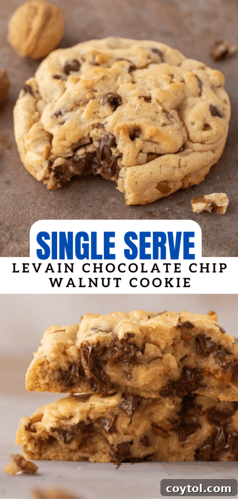 Close-up of a single Levain cookie with melted chocolate chips and visible walnuts