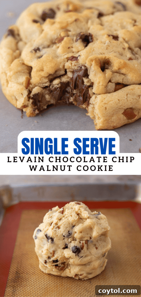 A whole single-serve Levain chocolate chip walnut cookie on a clean white background