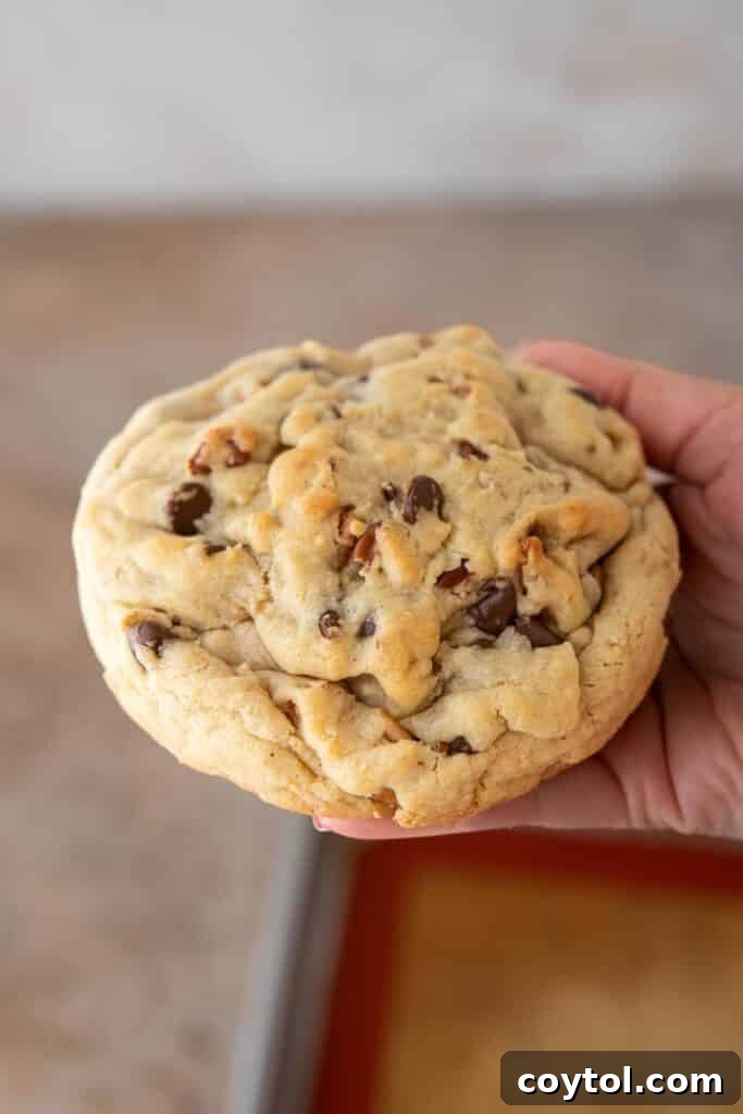 Hand holding a freshly baked single serve Levain chocolate chip walnut cookie