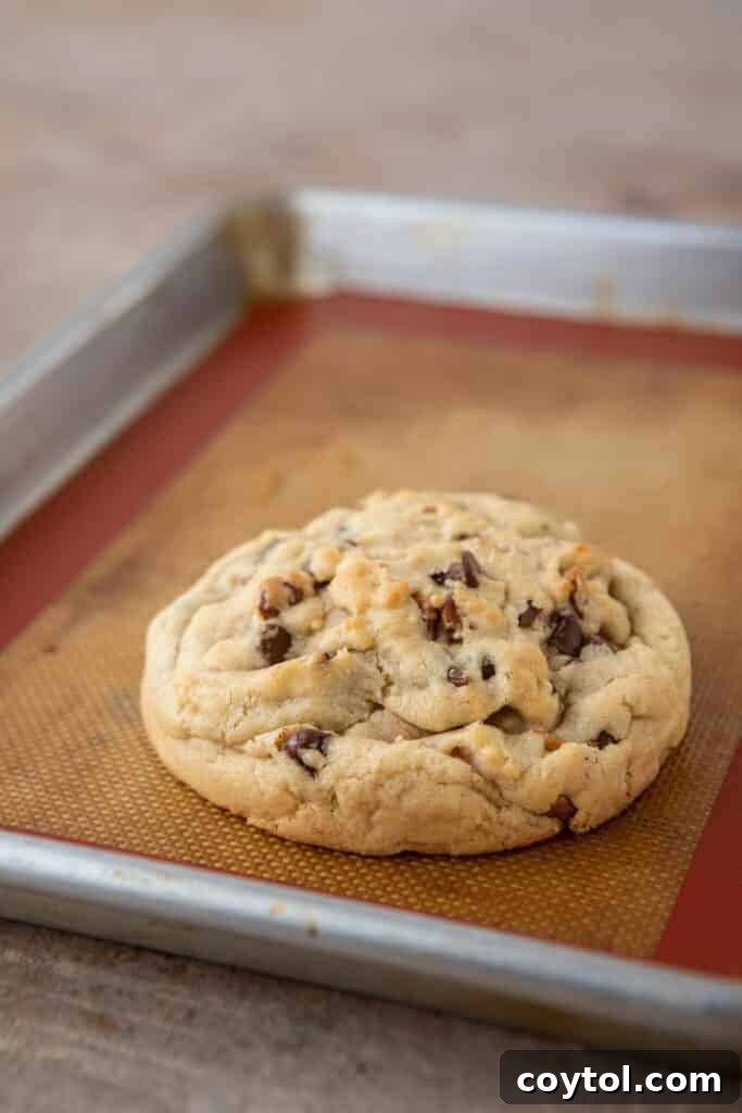 Single serve Levain chocolate chip walnut cookie cooling on a baking sheet
