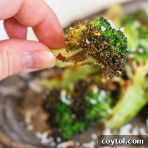 air fryer broccoli